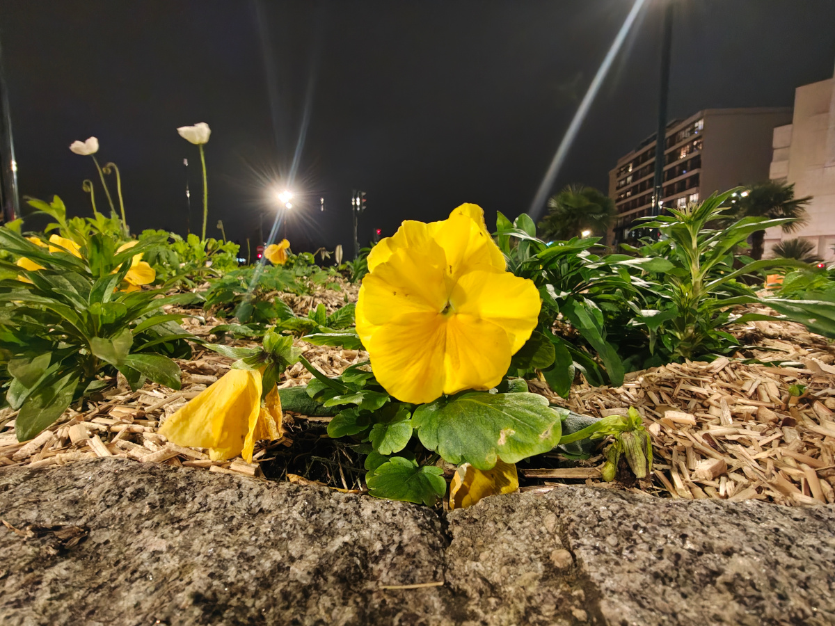 motorola edge 70 test