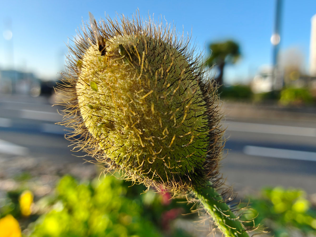 motorola edge 70 test