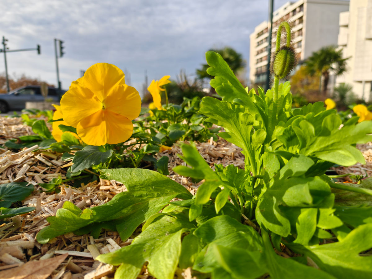 realme gt 8 pro test