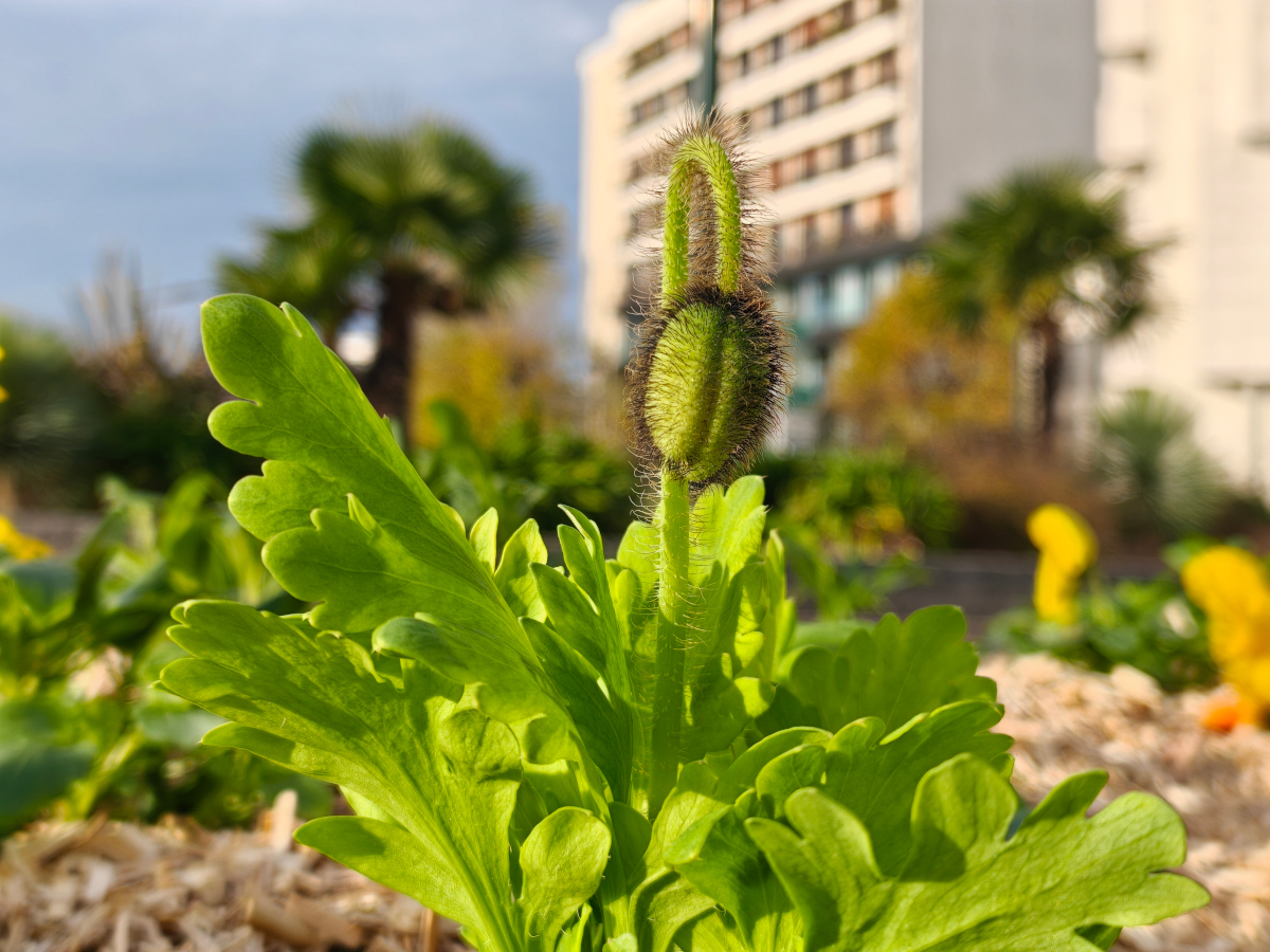 realme gt 8 pro test