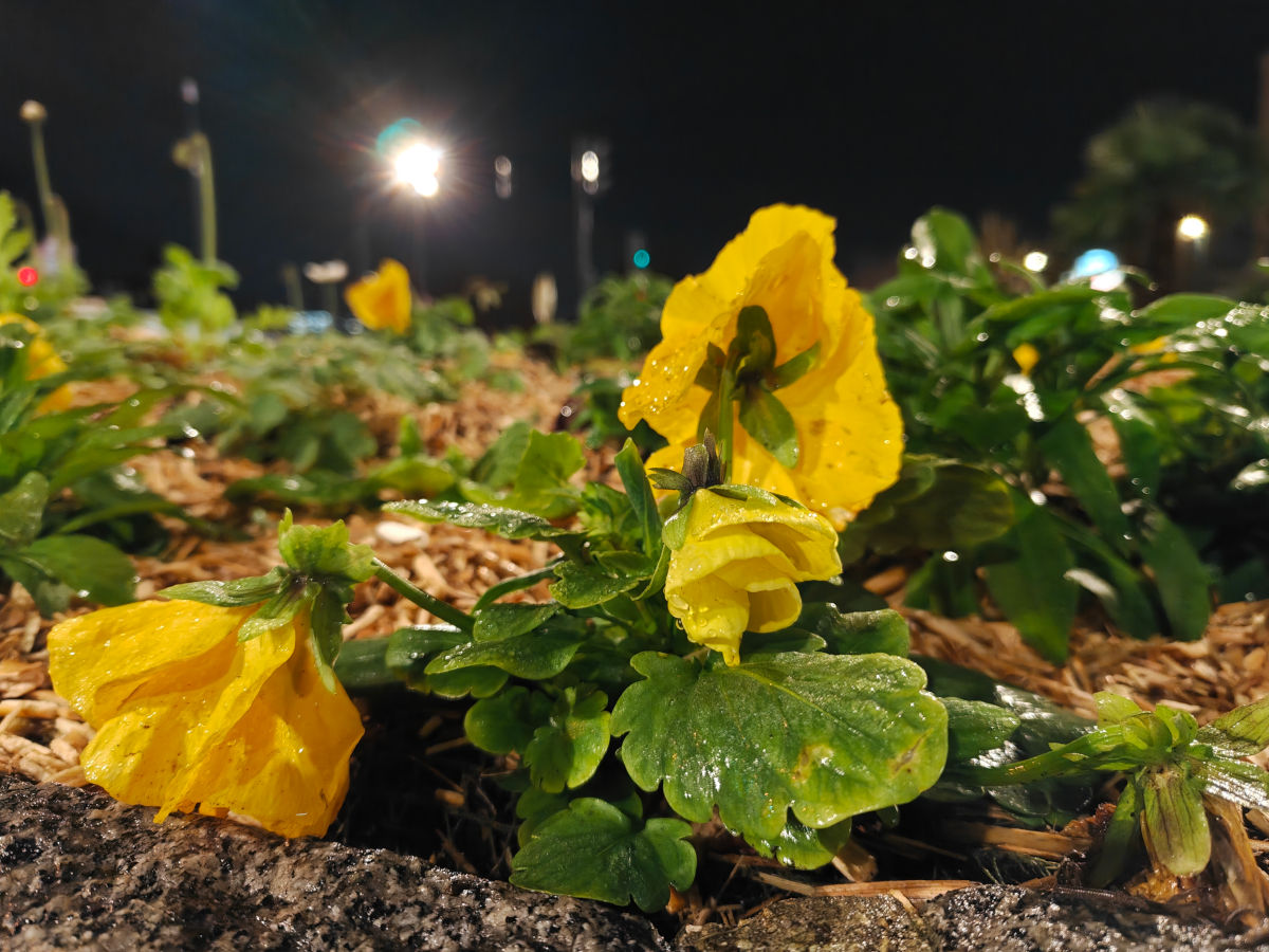 realme gt 8 pro test