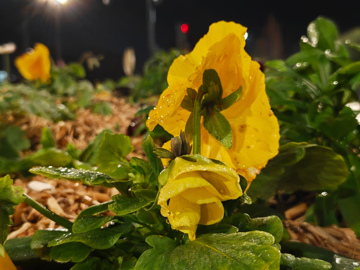 realme gt 8 pro test