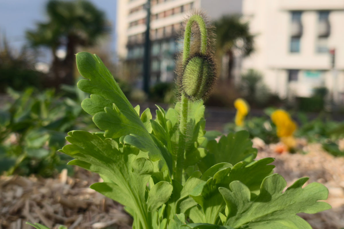 realme gt 8 pro test