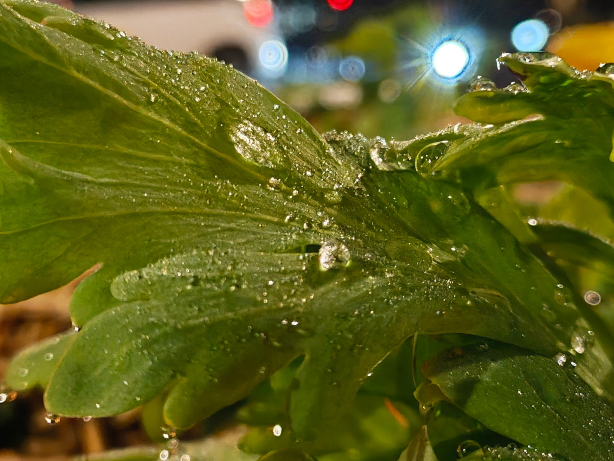 realme gt 8 pro test