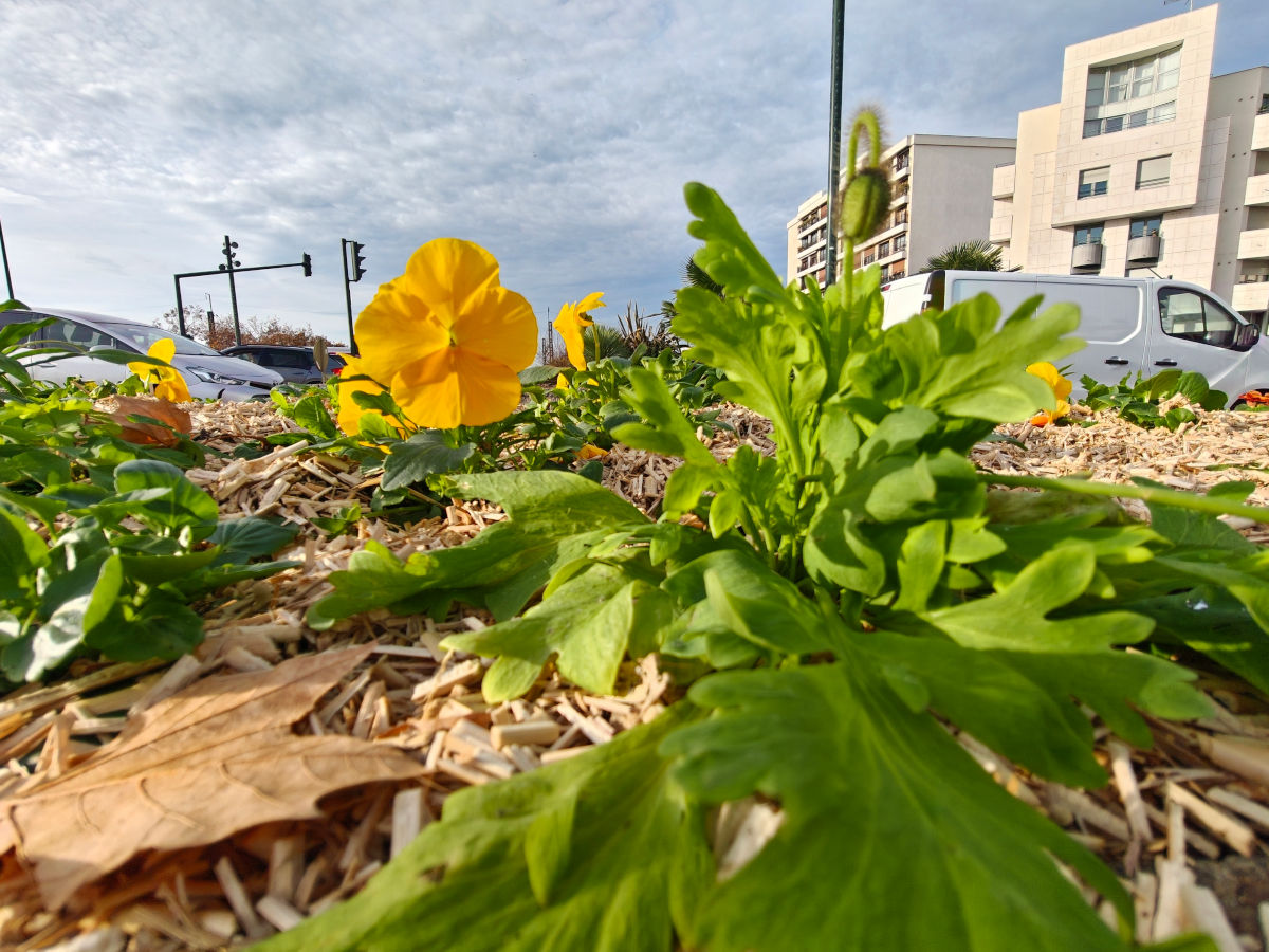 realme gt 8 pro test