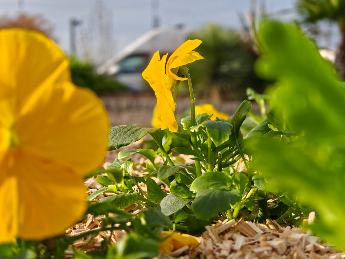 realme gt 8 pro test