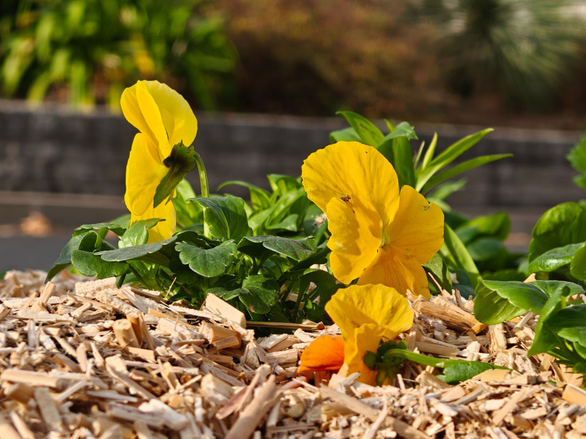 realme gt 8 pro test