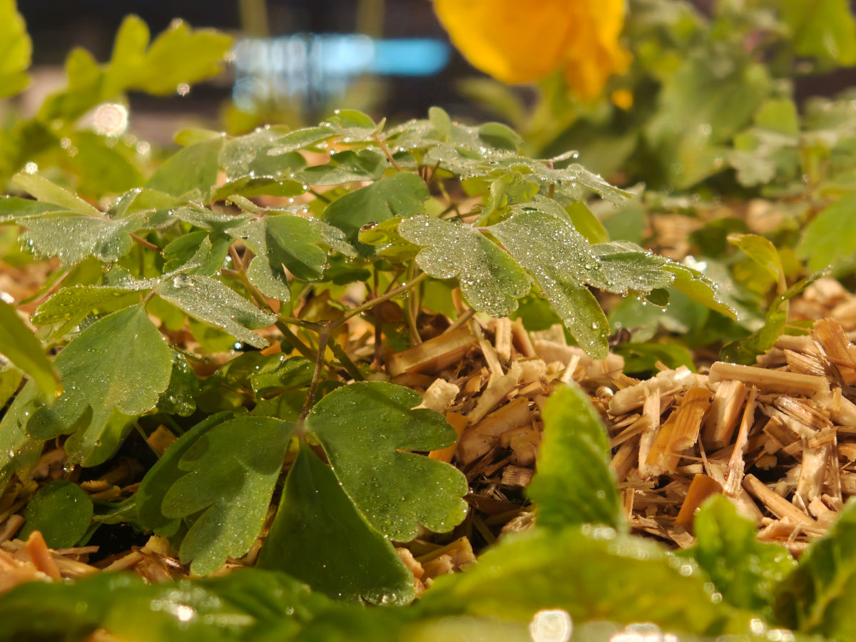 realme gt 8 pro test