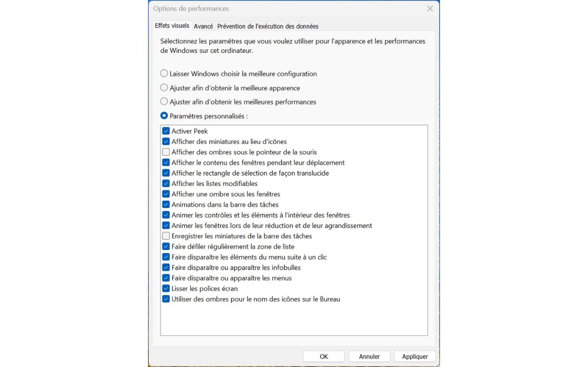 Désactiver effets d'animation Paramètres Performances