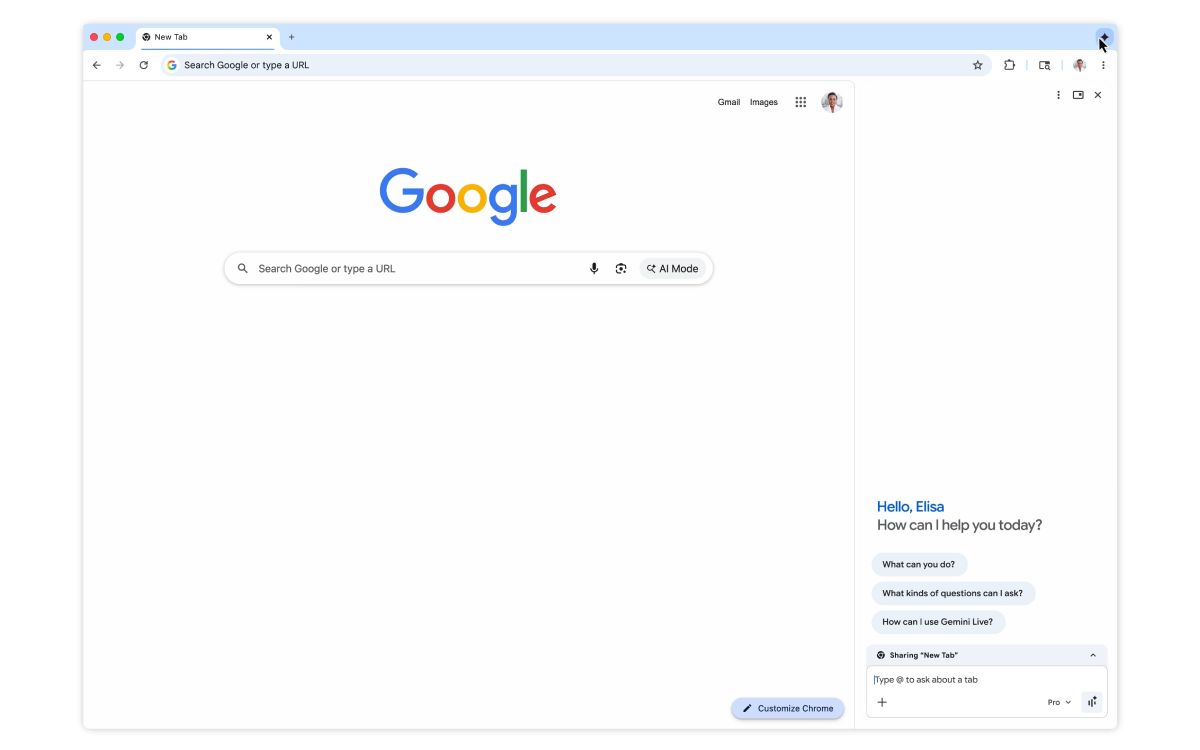 Gemini panneau latéral Chrome
