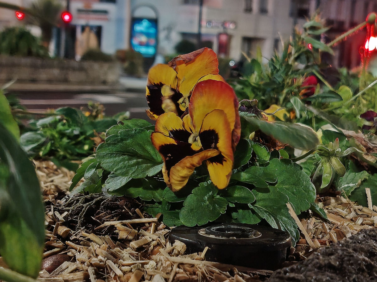 honor magic8 lite test