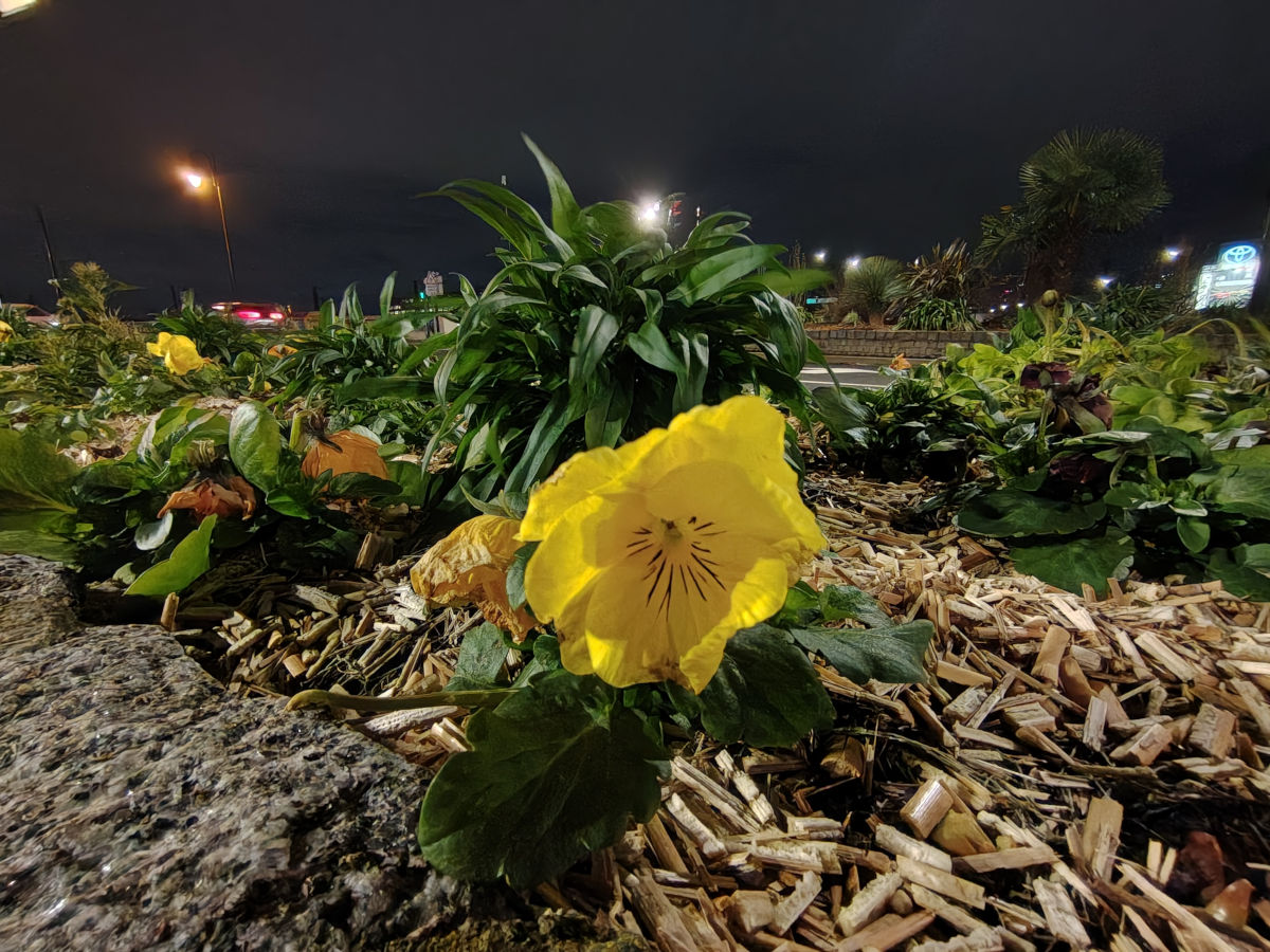 honor magic8 lite test