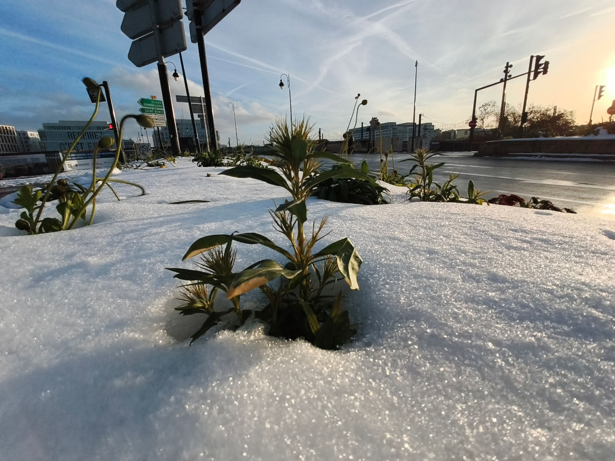 xiaomi redmi note 15 pro test