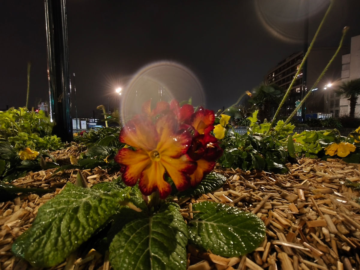 xiaomi redmi note 15 pro test