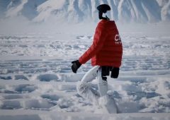 Robot Unitree marche neige