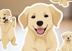 galaxy S26 sticker IA