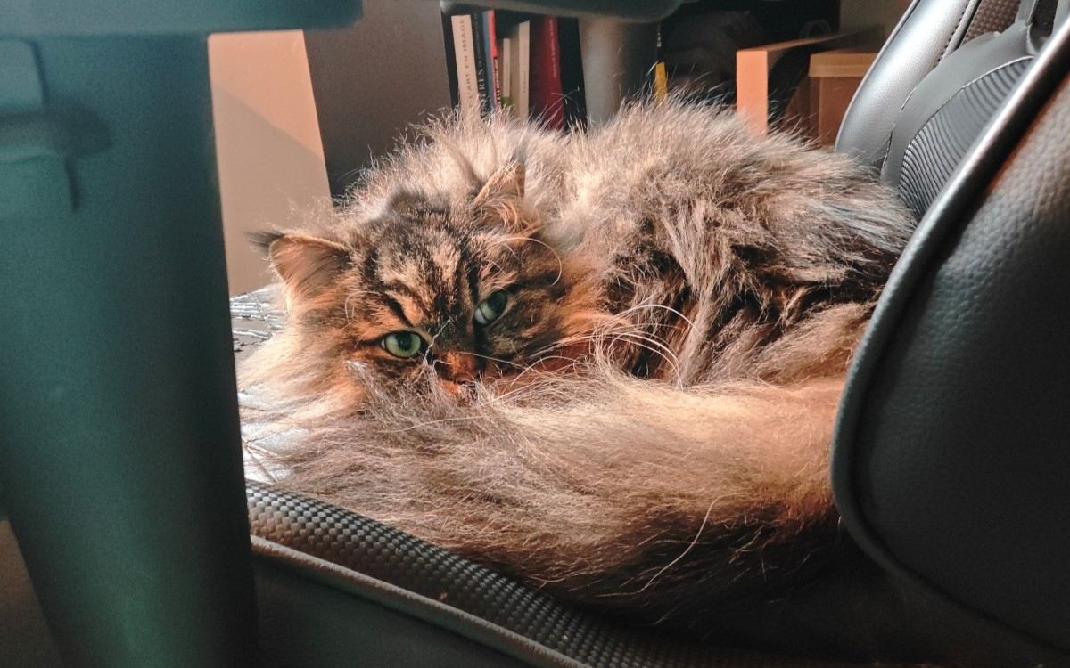 test xiaomi pad 8 photo