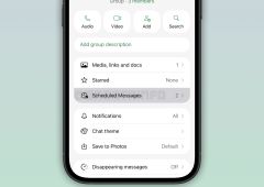 whatsapp message programmé
