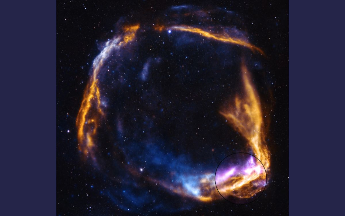 RCW 86 supernova NASA IXPE