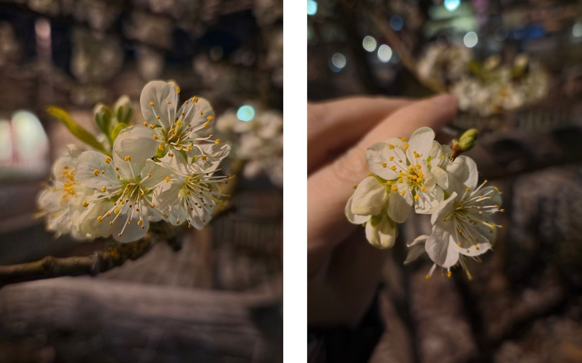 Test Samsung Galaxy S26+ capteur principal gros plan de nuit