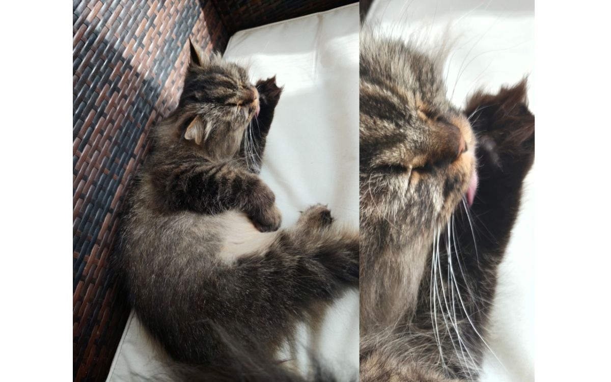 Test Xiaomi 17 capteur principal 1x