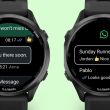 garmin whatsapp