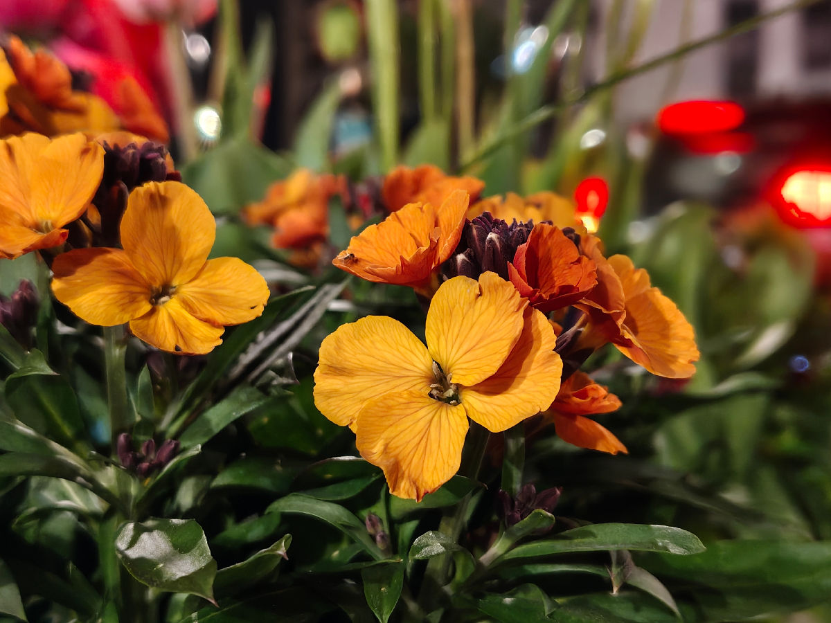 nothing phone 4a pro test