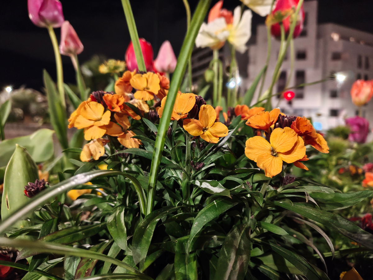 nothing phone 4a pro test