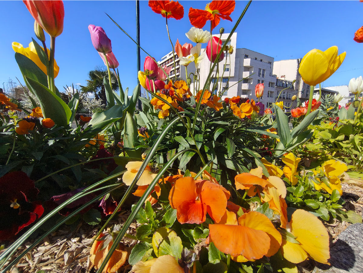 nothing phone 4a pro test