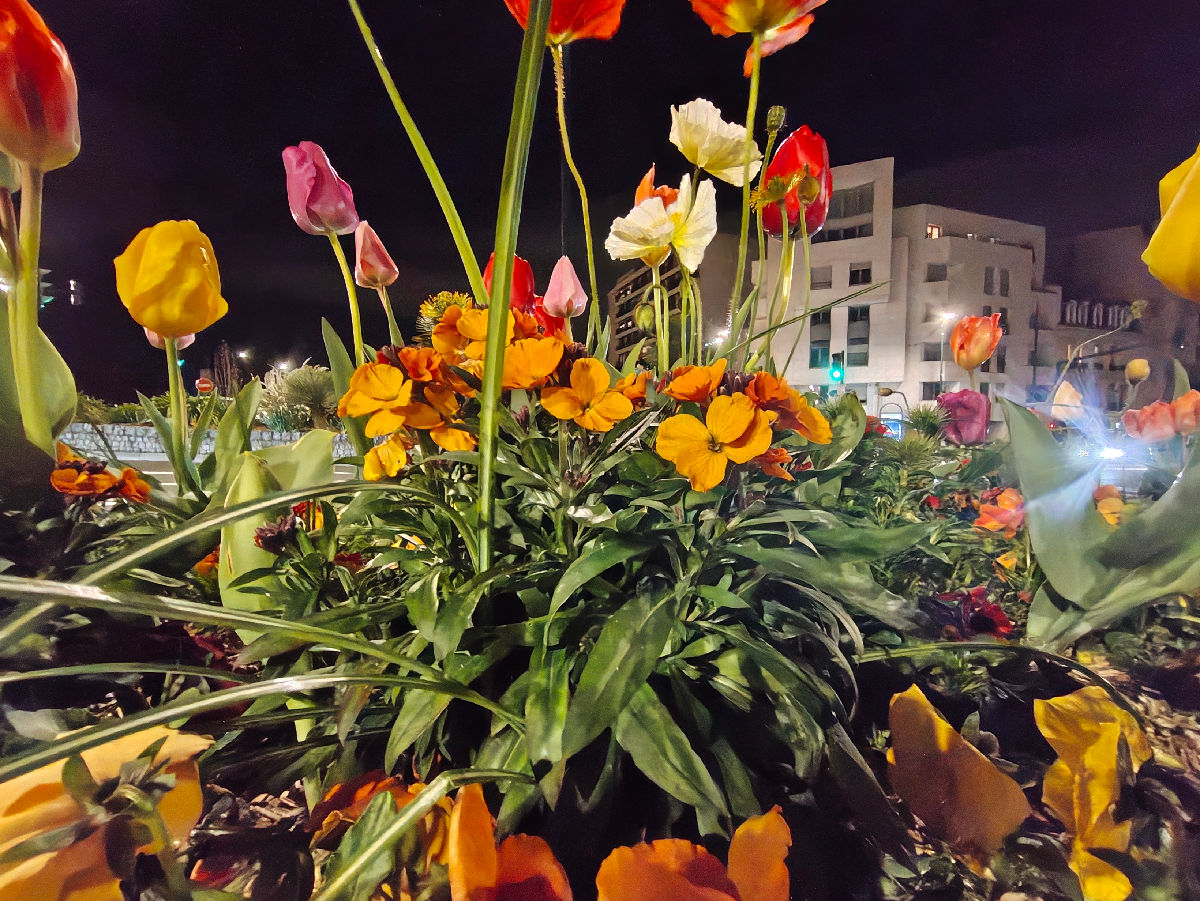 nothing phone 4a pro test