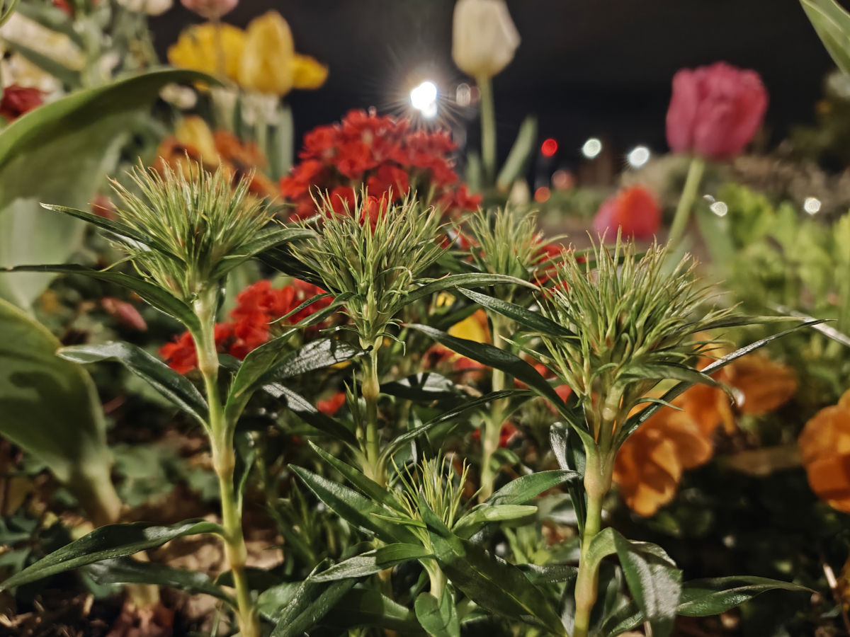 realme 16 pro plus test