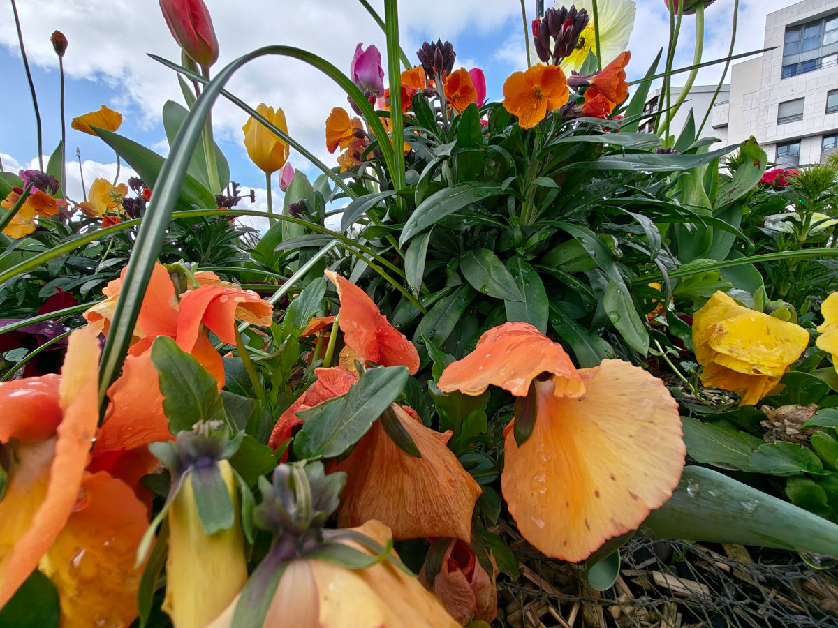 realme 16 pro plus test