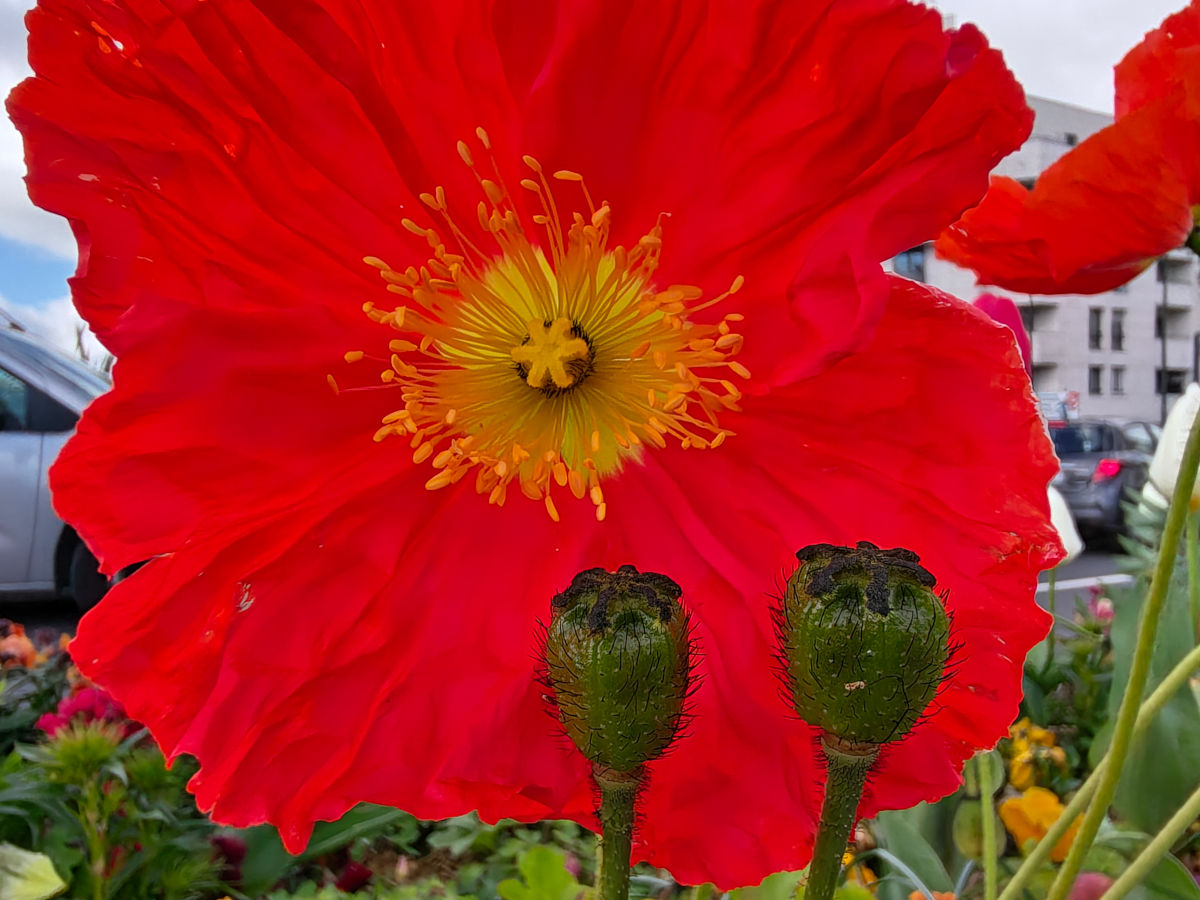 realme 16 pro plus test