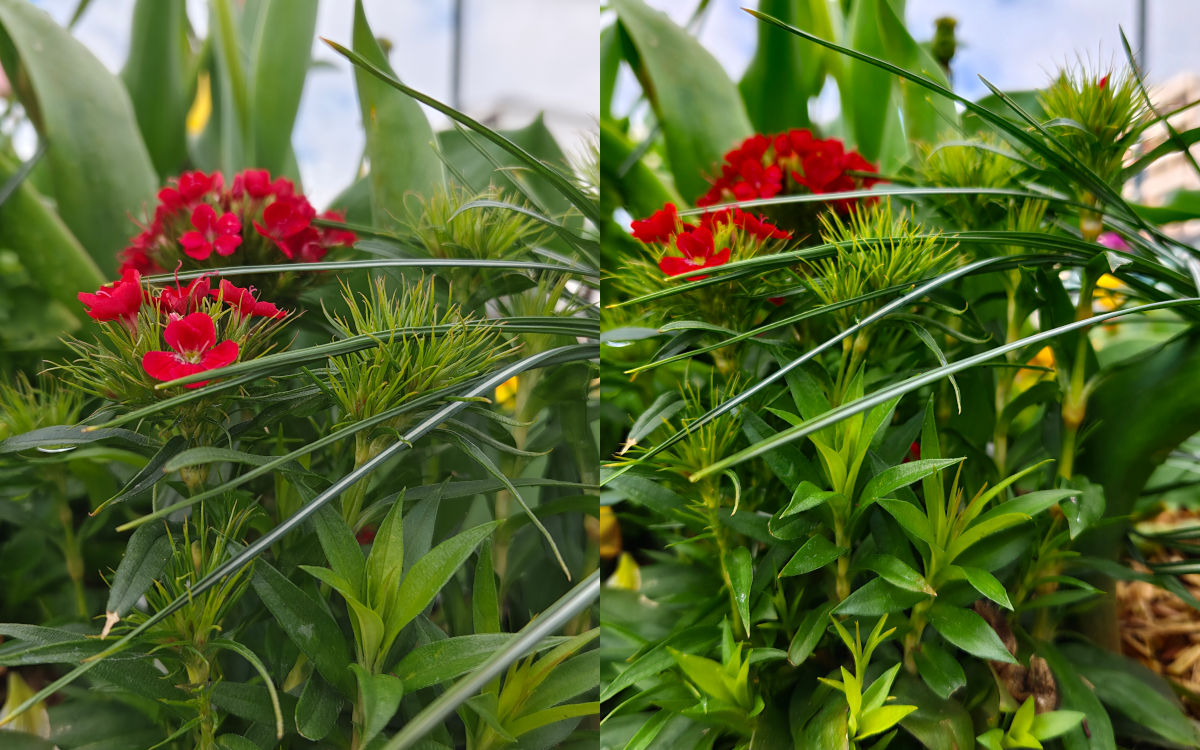 realme 16 pro plus test