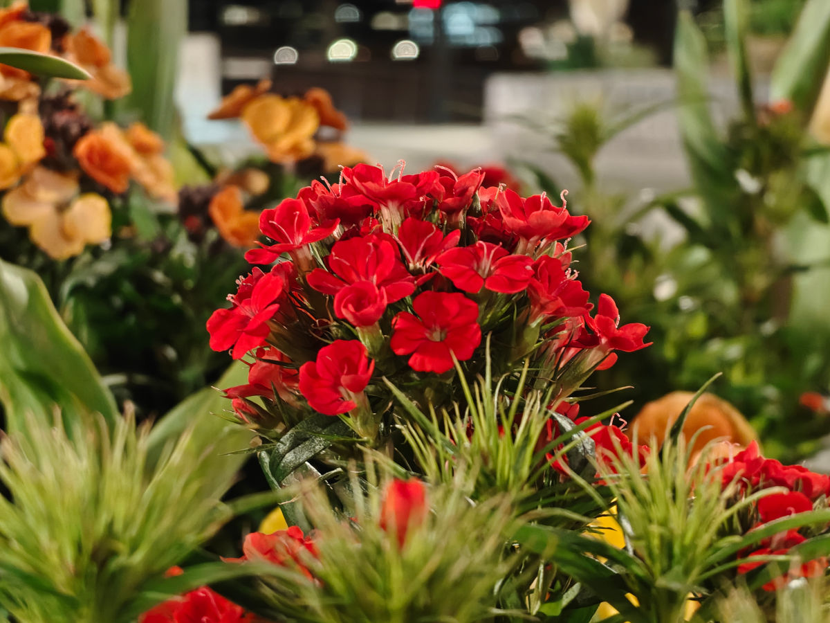 realme 16 pro plus test