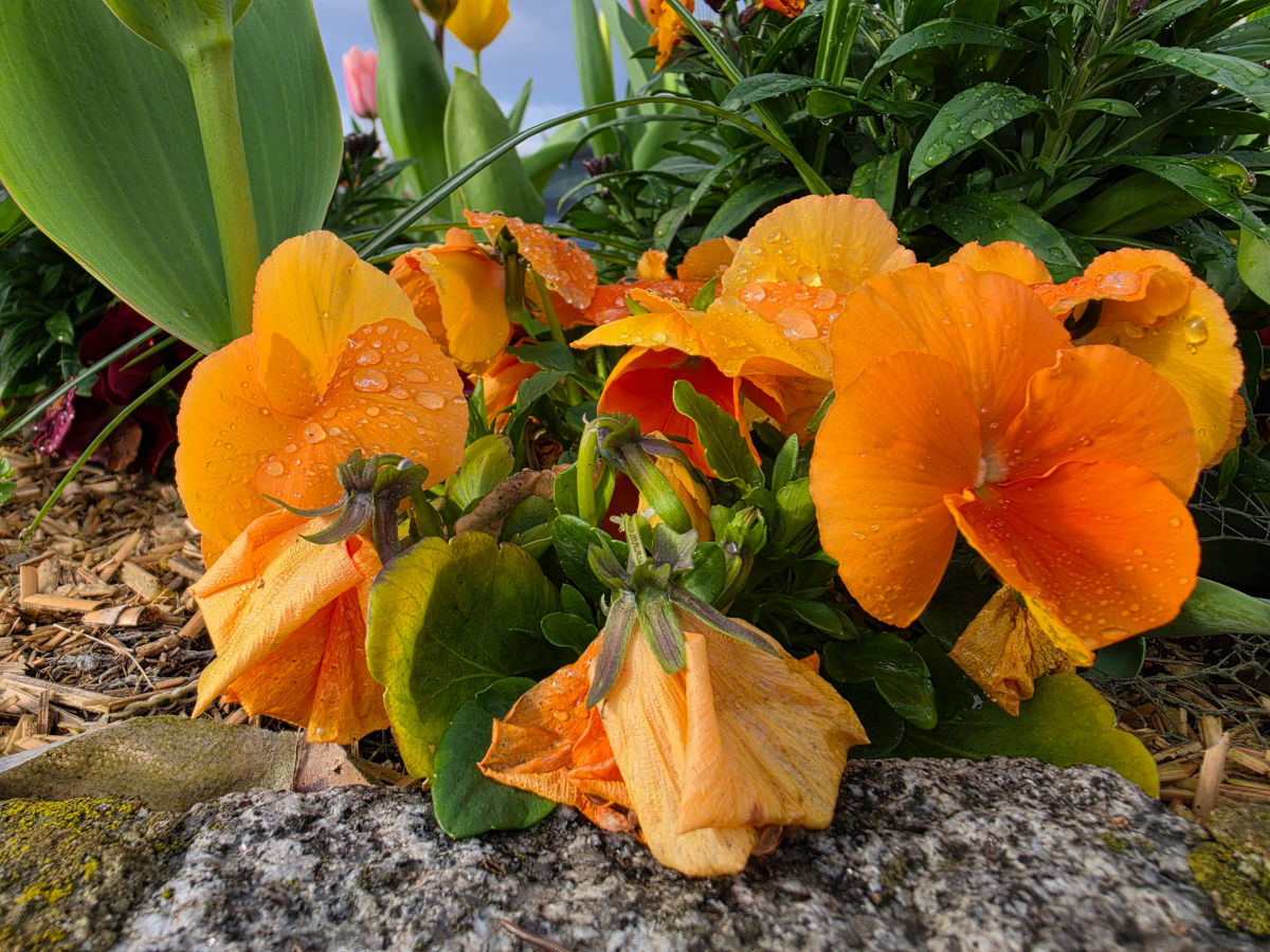 samsung galaxy s26 ultra test