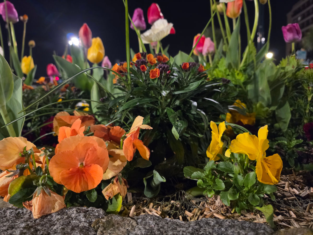 samsung galaxy s26 ultra test