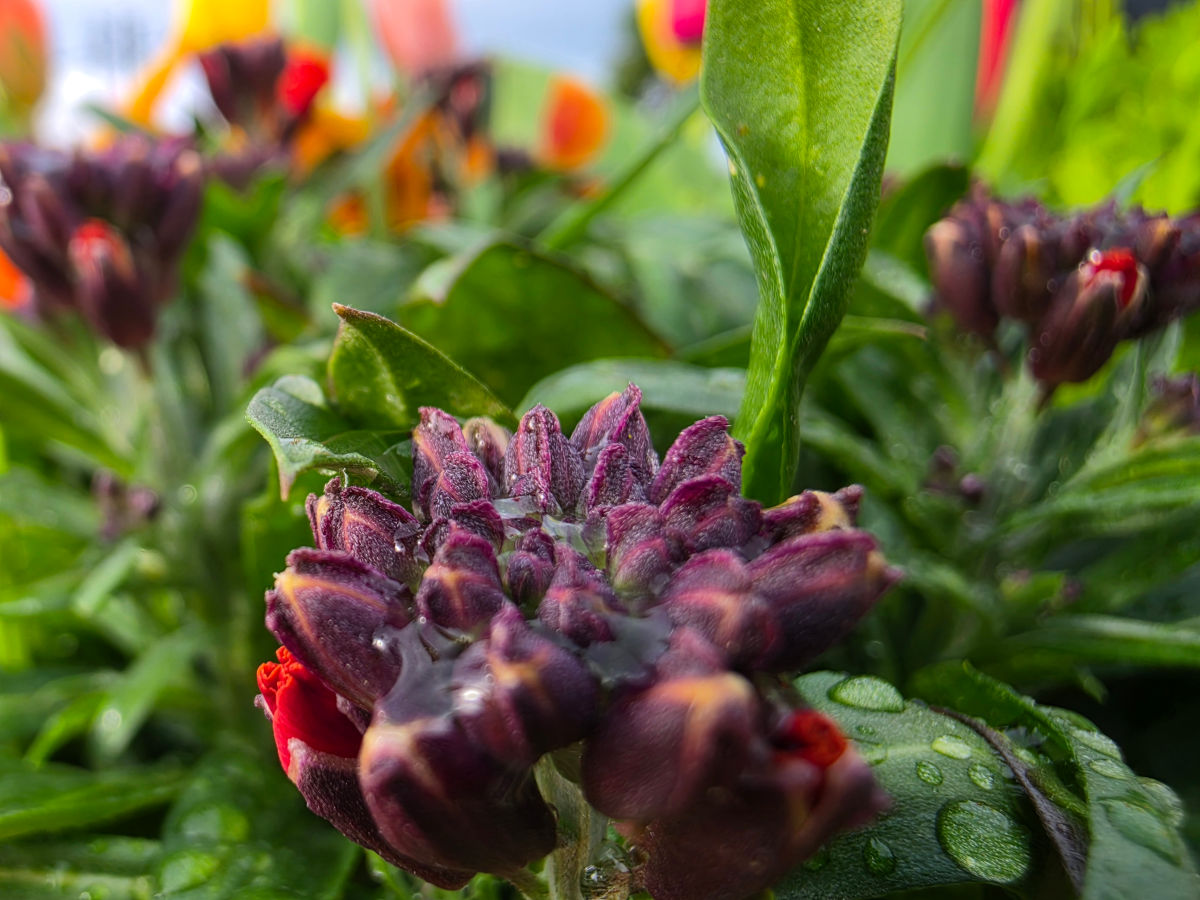 samsung galaxy s26 ultra test