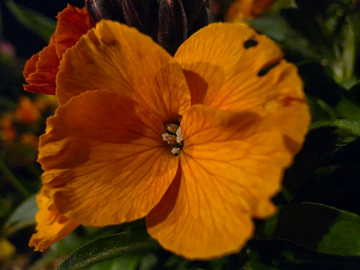 samsung galaxy s26 ultra test