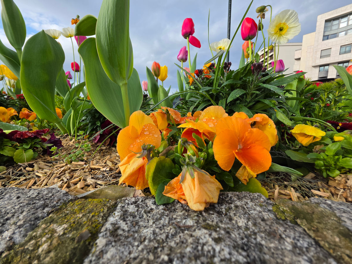 samsung galaxy s26 ultra test