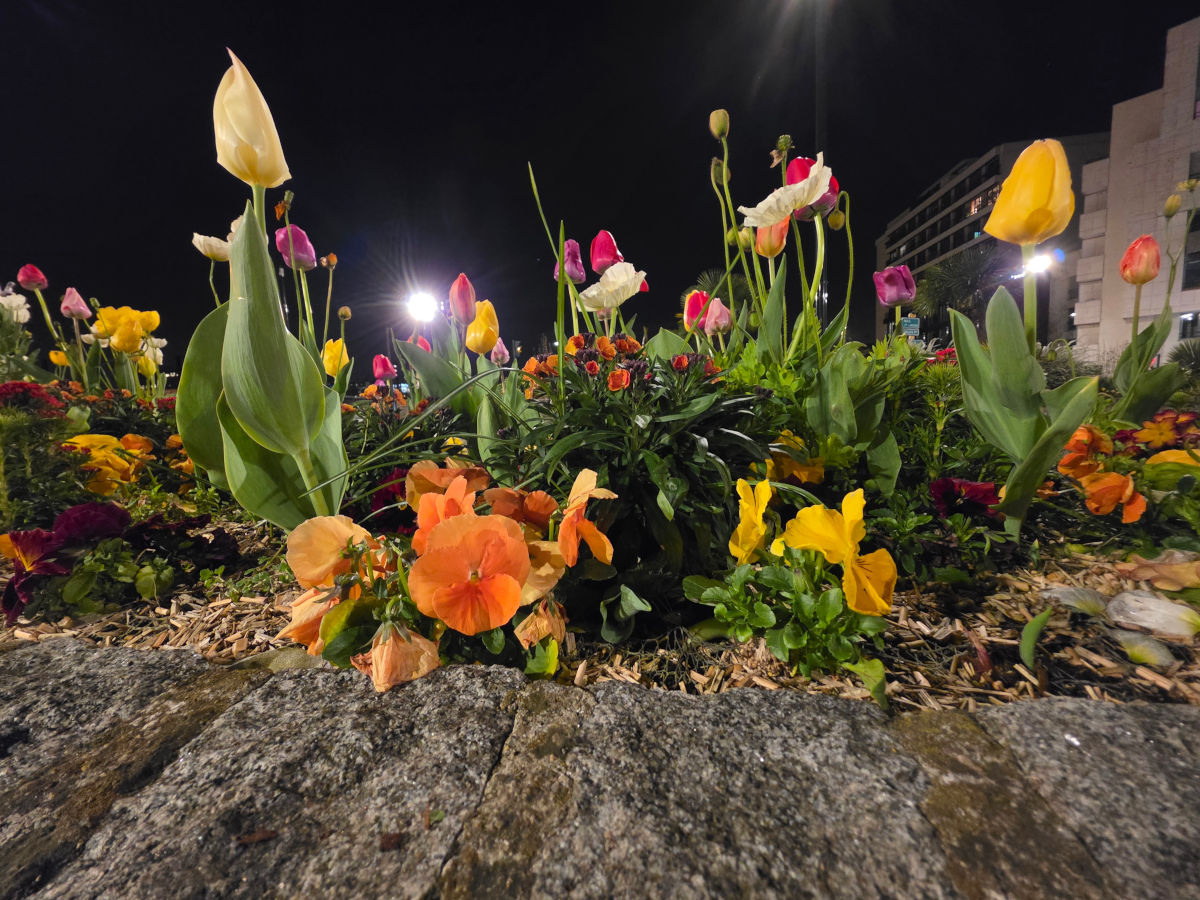 samsung galaxy s26 ultra test