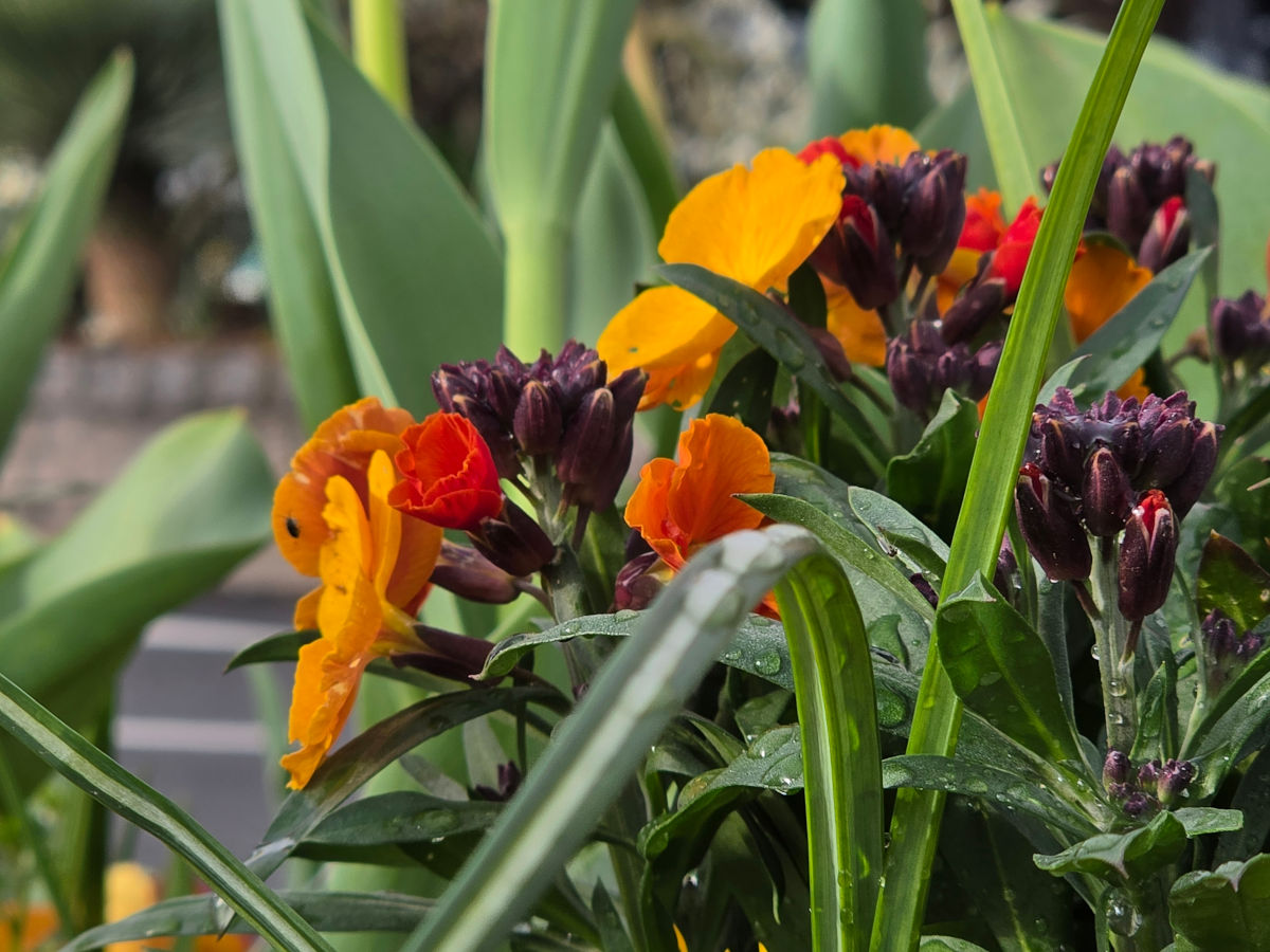 samsung galaxy s26 ultra test