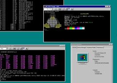 Linux Windows
