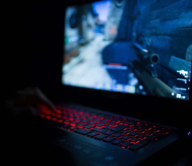 Jeux vidéo Linux Windows 11