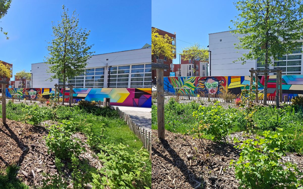 Test Samsung Galaxy A57 comparaison grand angle et ultra grand angle