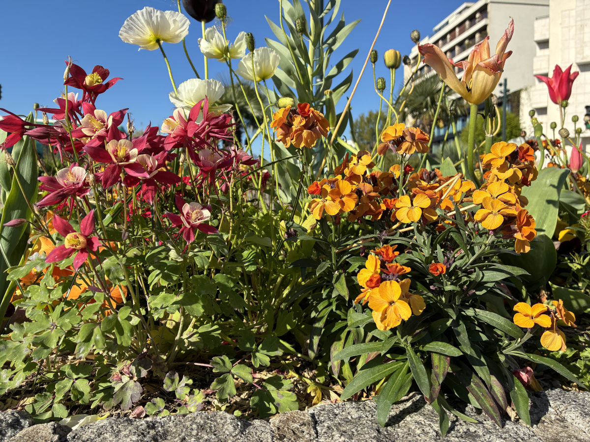 apple iphone 17e test