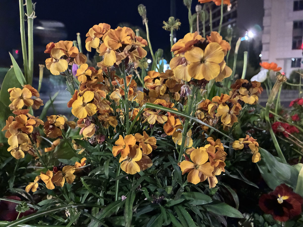 apple iphone 17e test