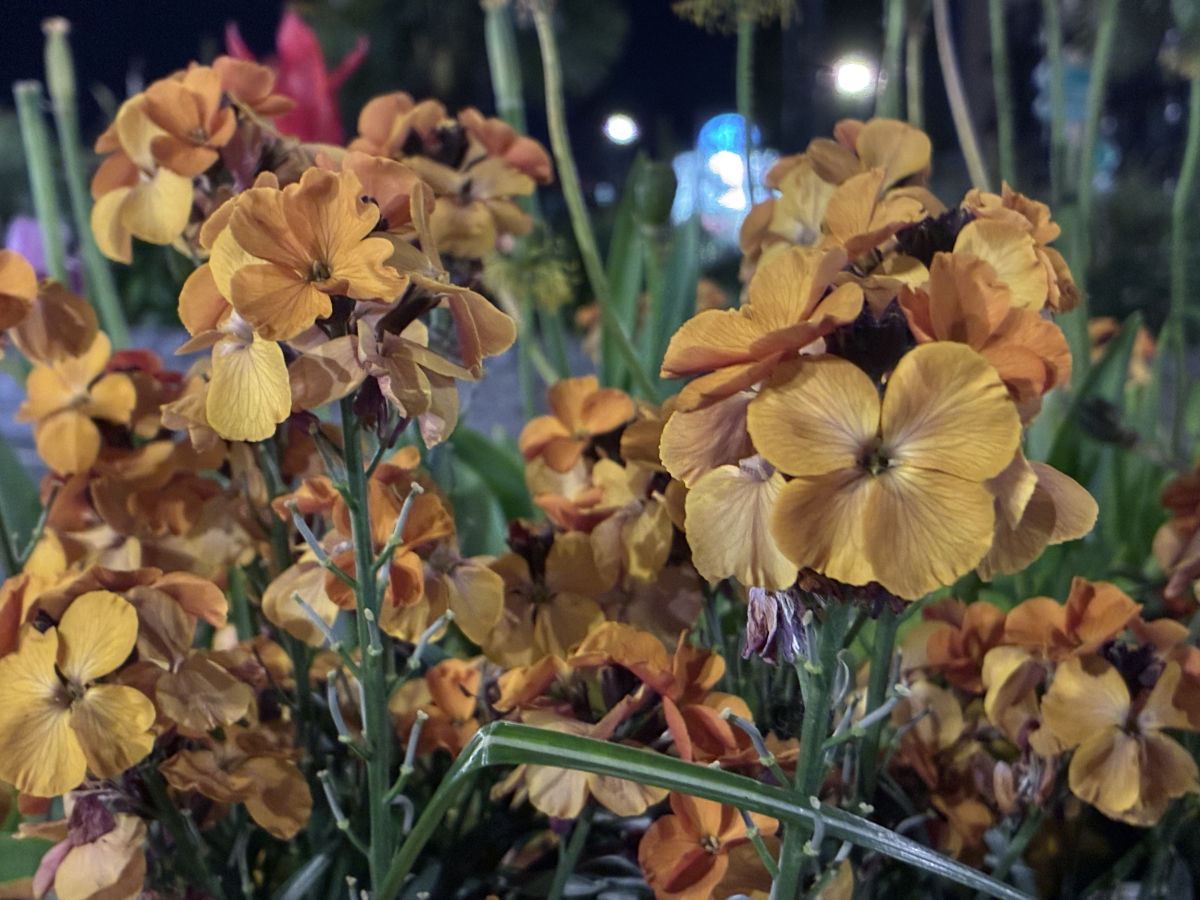 apple iphone 17e test