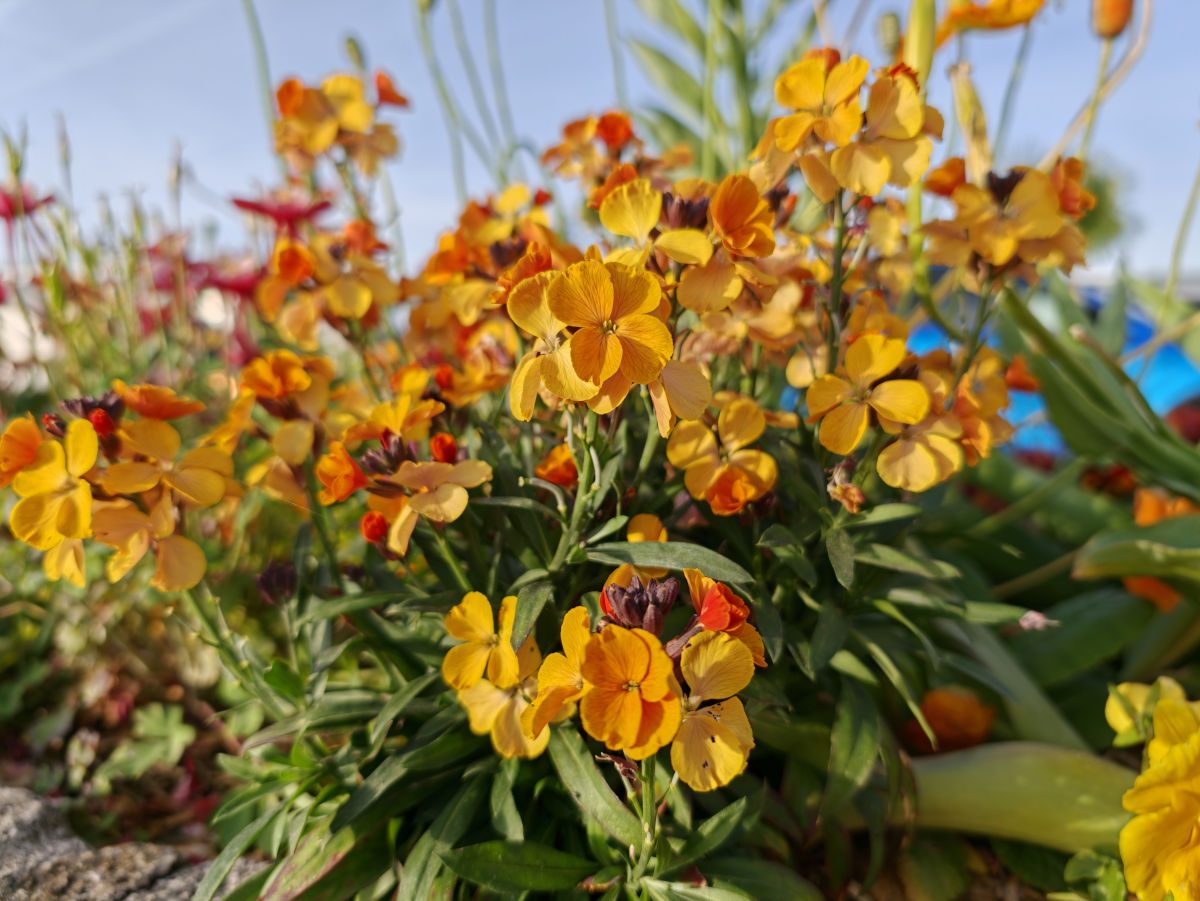 oppo find x9 ultra test