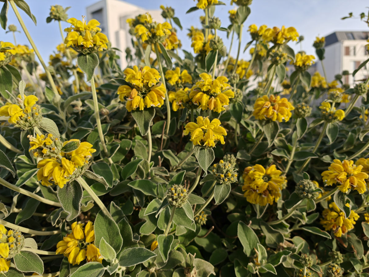 oppo find x9 ultra test